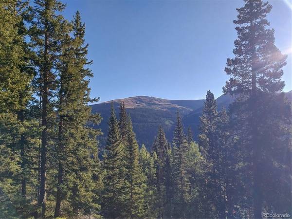 1062 Roberts, Alma, CO 80420