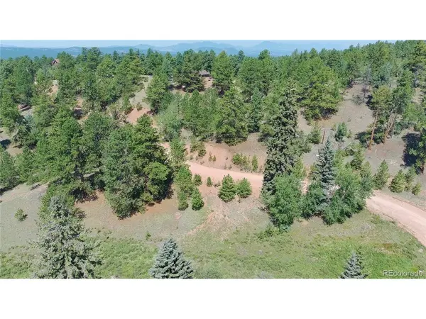 835 Spring Valley, Florissant, CO 80816