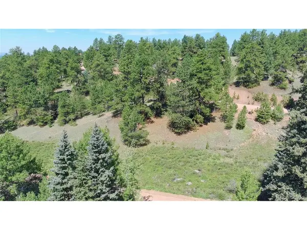 835 Spring Valley, Florissant, CO 80816