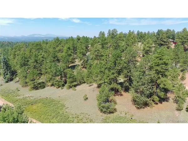 835 Spring Valley, Florissant, CO 80816