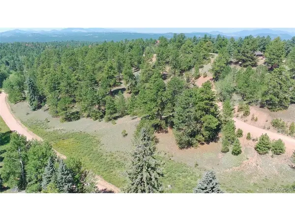 835 Spring Valley, Florissant, CO 80816