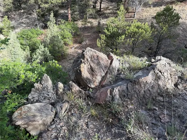 594 Maurice, Cotopaxi, CO 81223