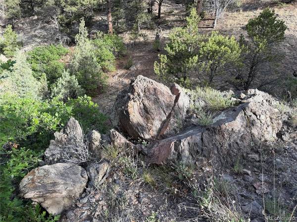594 Maurice, Cotopaxi, CO 81223