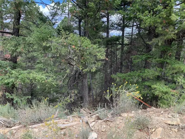 112 Lautenburg Drive, Fort Garland, CO 81133