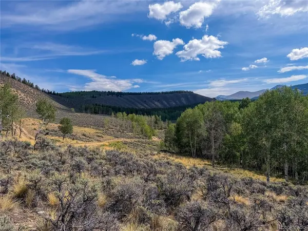 380 Mallard, Leadville, CO 80461