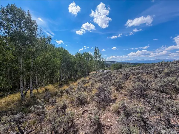 380 Mallard, Leadville, CO 80461