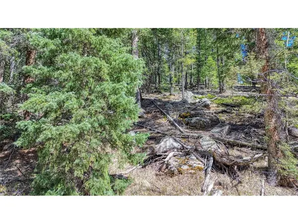 3075 N Mountain Estates, Florissant, CO 80816