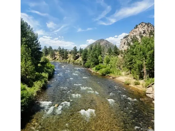 10795 County Road 197a, #116, Nathrop, CO 81236
