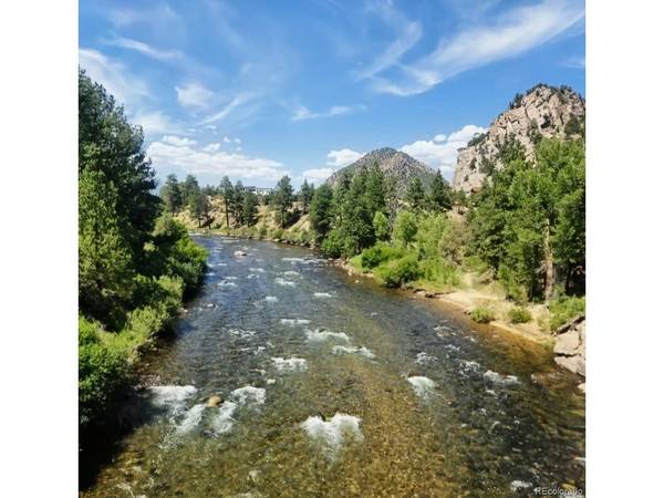 10795 County Road 197a, #116, Nathrop, CO 81236