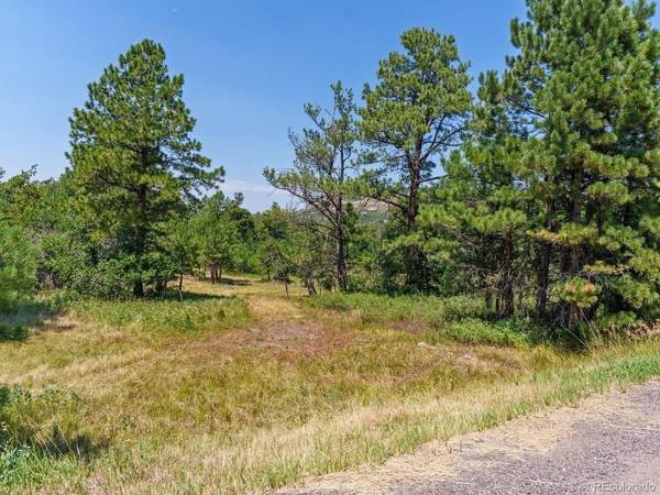 15969 Ray, Larkspur, CO 80118