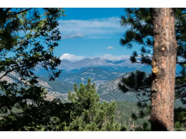 1028 Blue Grass, Evergreen, CO 80439