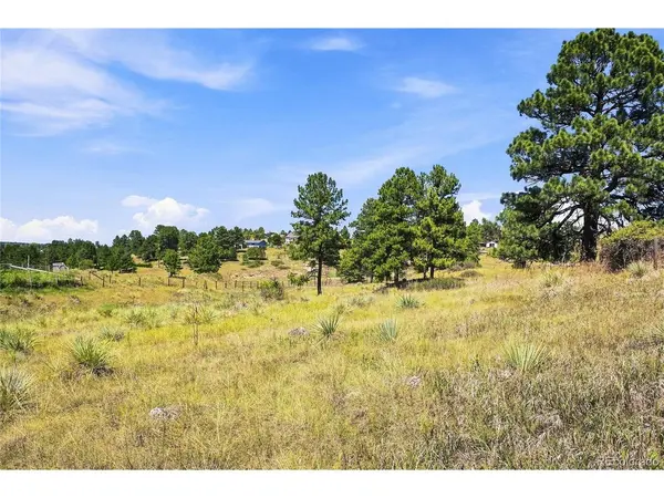10461 Black Forest, Parker, CO 80138