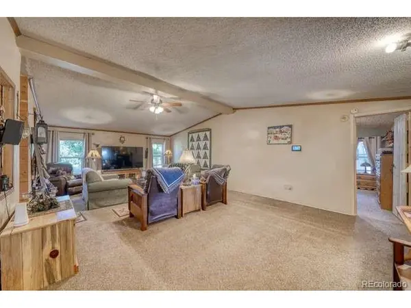 115 Arapahoe, South Fork, CO 81154
