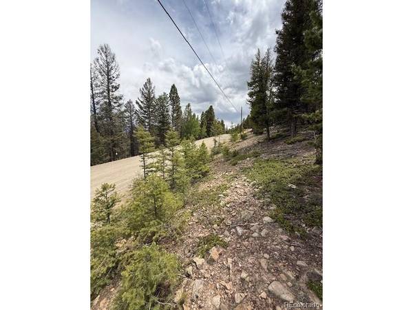 2689 Redhill, Fairplay, CO 80440