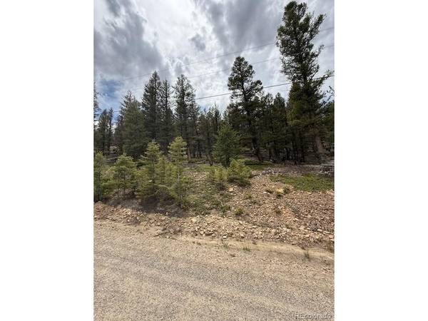 2689 Redhill, Fairplay, CO 80440