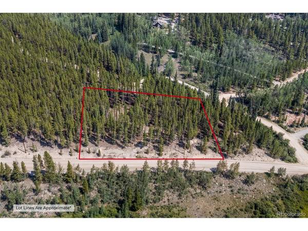 3075 Nugget, Fairplay, CO 80440