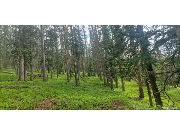 6542 Schlueter, Fort Garland, CO 81133