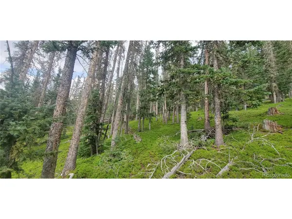 6542 Schlueter, Fort Garland, CO 81133