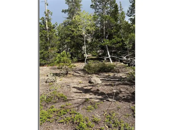 850 Lupine, Black Hawk, CO 80422
