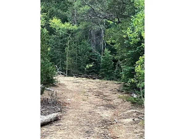 850 Lupine, Black Hawk, CO 80422