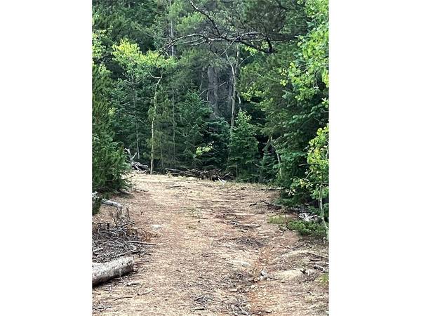 850 Lupine, Black Hawk, CO 80422