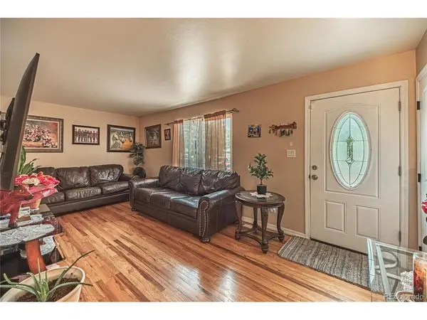1118 Maxwell, Colorado Springs, CO 80906