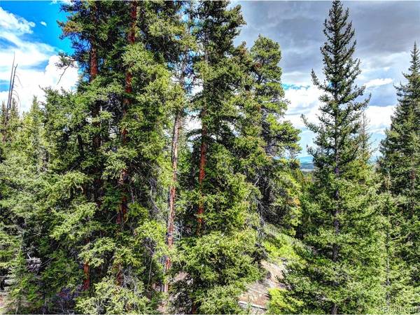 0 Dry Gulch, Fairplay, CO 80440