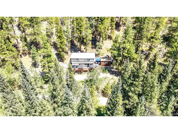 7992 County Road 43, Bailey, CO 80421