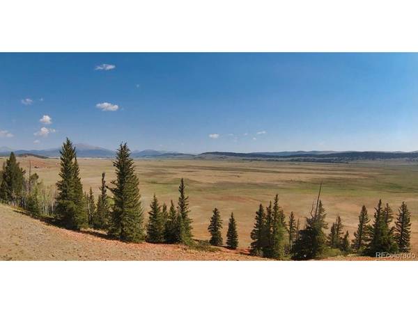 4335 Meier Ridge, Fairplay, CO 80440