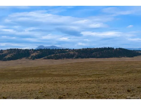 4318 Cimarron, Hartsel, CO 80449