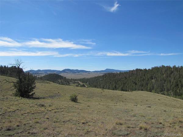 227 Keechi, Hartsel, CO 80449