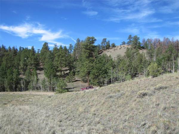 227 Keechi, Hartsel, CO 80449