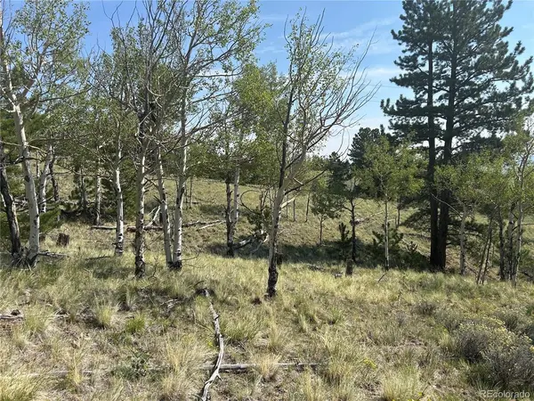 11414 Ranch, Hartsel, CO 80449