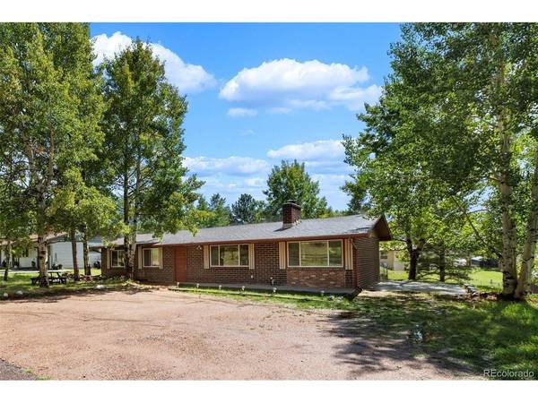 1035 Park View, Woodland Park, CO 80863