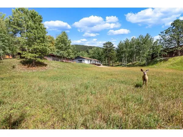 1035 Park View, Woodland Park, CO 80863
