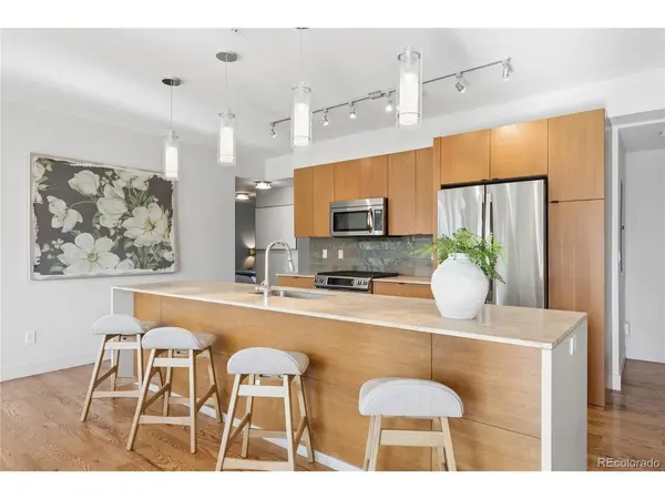 3434 Tejon #201, Denver, CO 80211