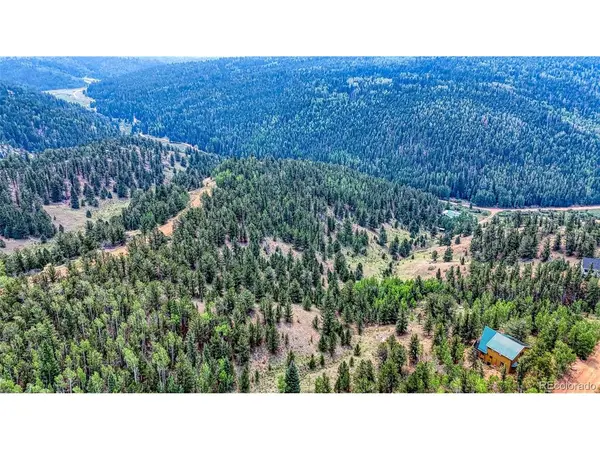 71 Brown Bear, Cripple Creek, CO 80813