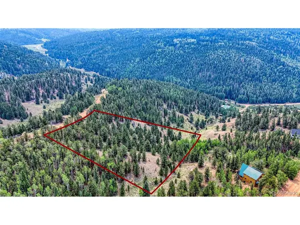 71 Brown Bear, Cripple Creek, CO 80813