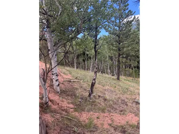 40 Sequoia, Woodland Park, CO 80863