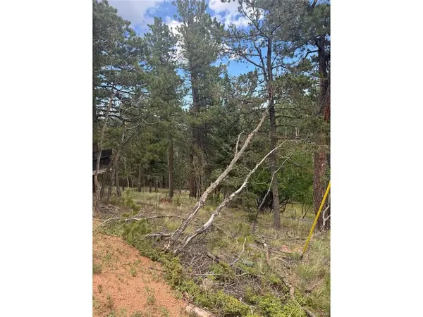 40 Sequoia, Woodland Park, CO 80863