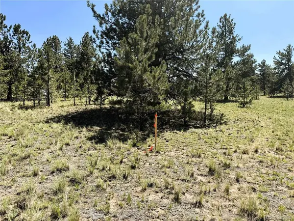 127 Boulder, Hartsel, CO 80449