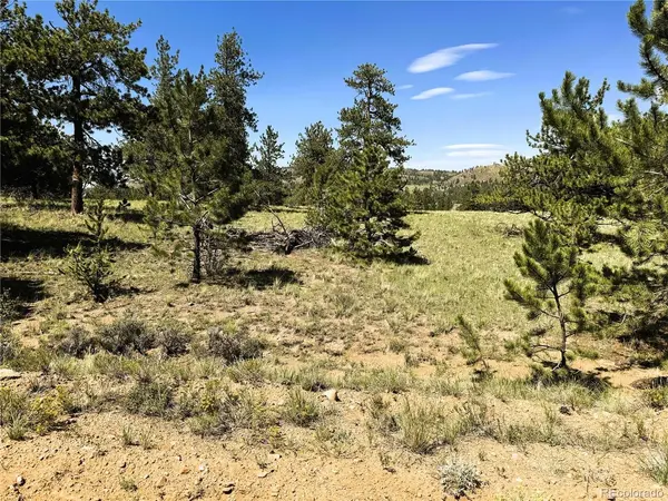 127 Boulder, Hartsel, CO 80449