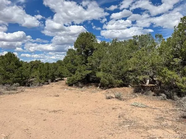 8 Coyote, San Luis, CO 81152