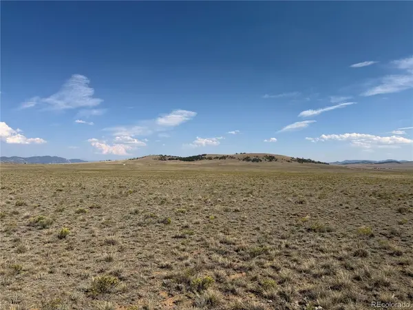 294 Hinsdale, Hartsel, CO 80449