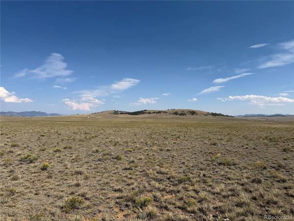 294 Hinsdale, Hartsel, CO 80449