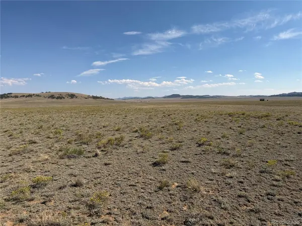 294 Hinsdale, Hartsel, CO 80449