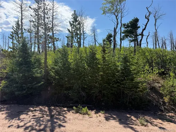 2498 Gilmartin, Fort Garland, CO 81133