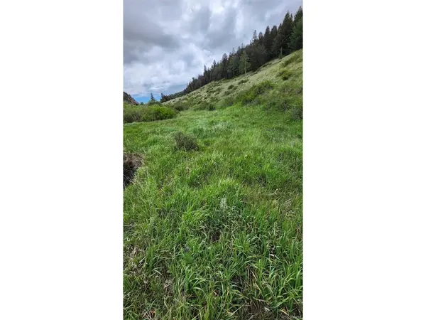 0 HWY 160, Fort Garland, CO 81133