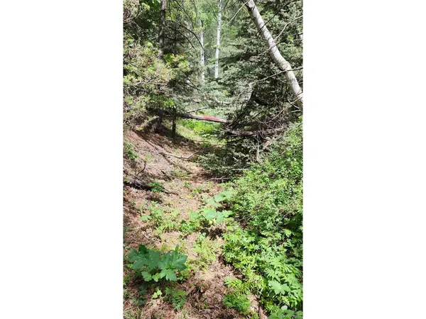 0 HWY 160, Fort Garland, CO 81133