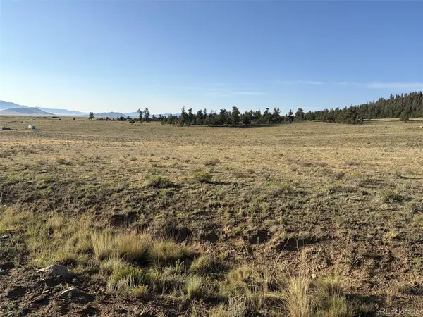 100 Park, Hartsel, CO 80449